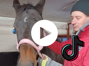 TikTok-kuva Tuomas