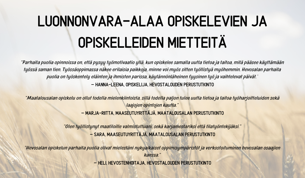 Kopio Vaikka maatilat vähenevät, tuotanto on pysynyt määrällisesti samalla tasolla. Kun tilakoot suurentuvat, palkatun työvoiman merkitys Suomen maatiloilla kasvaa. Luonnonvara-alaa voi opiskella Kopio Vaikka maatilat vähenevät, tuotanto on pysynyt määrällisesti samalla tasolla. Kun tilakoot suurentuvat, palkatun työvoiman merkitys Suomen maatiloilla kasvaa. Luonnonvara-alaa voi opiskella