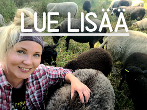 Lammas-Kaisa