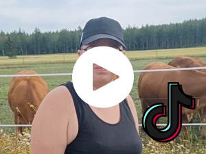 TikTok-kuva Sanna